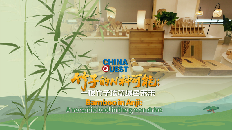 🌱 Bamboo Boom: Anji’s Green Revolution Goes Viral! video poster