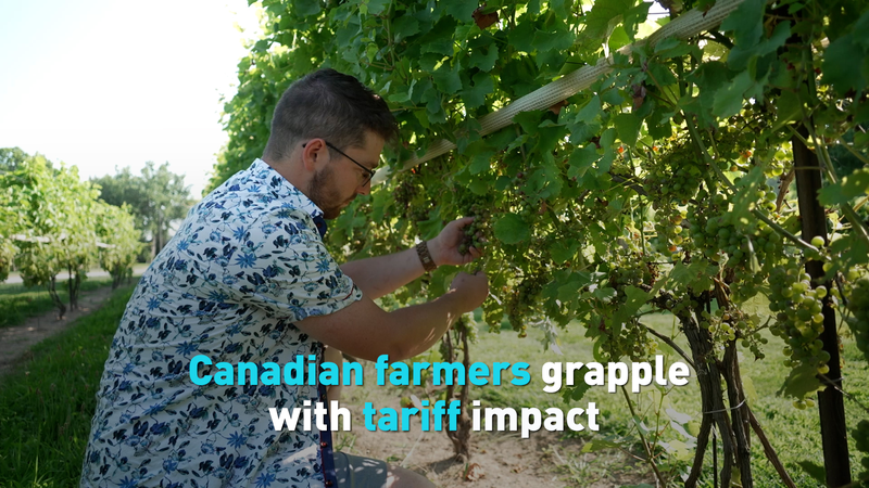 🌱 Canadian Farmers Face Tariff Struggles Despite Trade Deal 🌱 Canadian Farmers Face Tariff Struggles Despite Trade Deal video poster