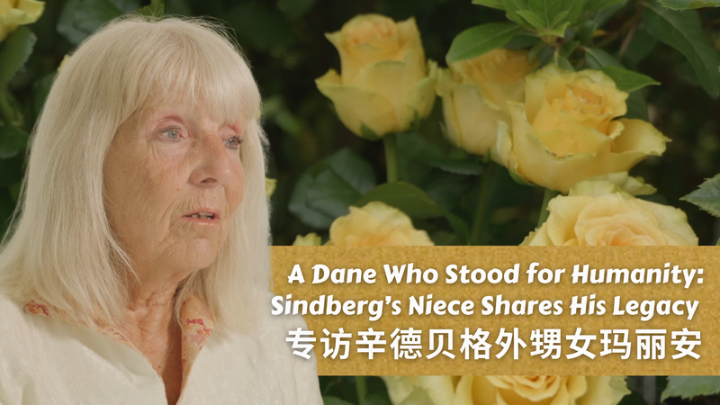 🇩🇰 Hero Untold: How a Dane Saved 20,000 in Nanjing Massacre 🌟 🇩🇰 Hero Untold: How a Dane Saved 20,000 in Nanjing Massacre 🌟 video poster