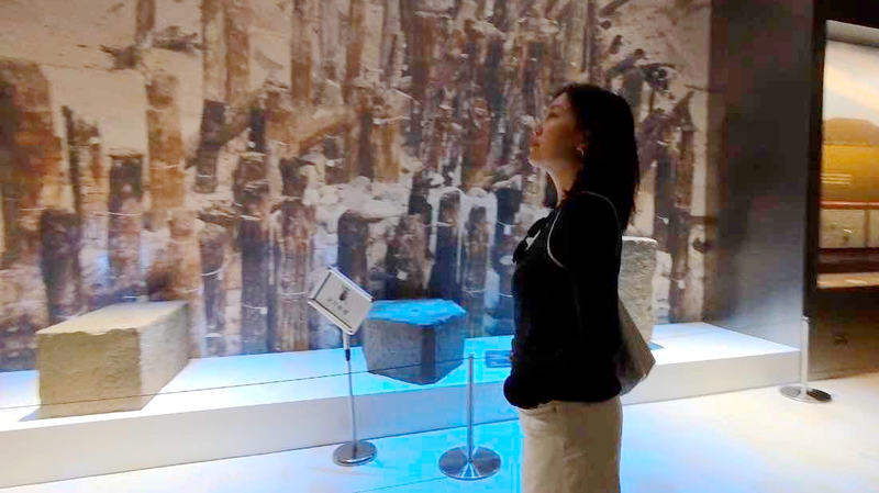 Shaanxi Museum Brings Western Han Dynasty to Life 🎭✨ Shaanxi Museum Brings Western Han Dynasty to Life 🎭✨