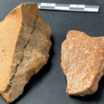 Ancient Artefacts Unearthed in Indonesia Rewrite Human History 🏺🌏