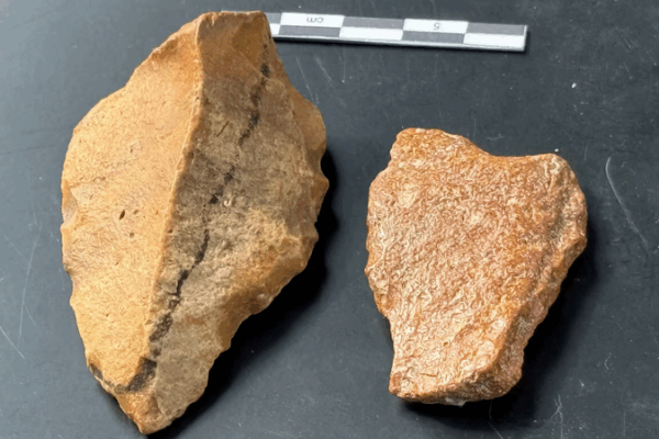 Ancient Artefacts Unearthed in Indonesia Rewrite Human History 🏺🌏 Ancient Artefacts Unearthed in Indonesia Rewrite Human History 🏺🌏