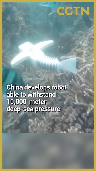 China’s New Deep-Sea Robot Dives 10,000 Meters! 🌊🤖 video poster