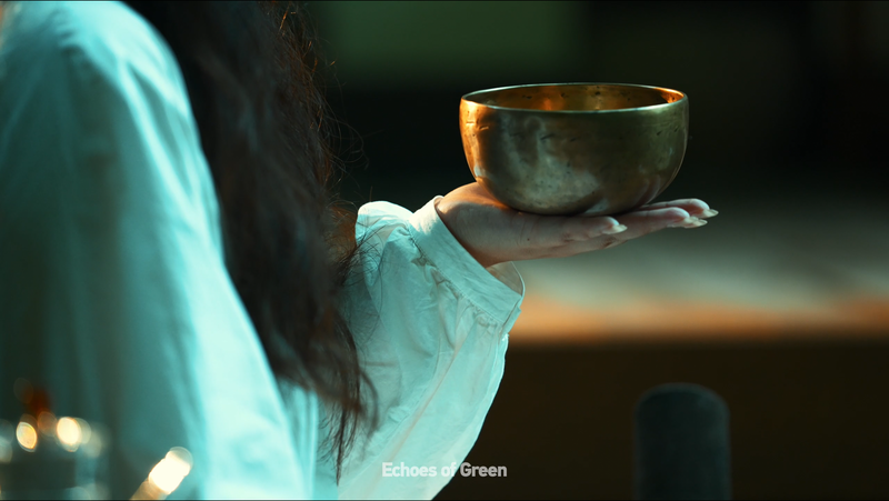 🌿 Young Chinese Find Peace in Forest 'Echoes' Amid Economic Boom video poster