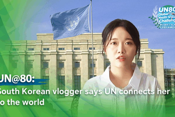π°π· South Korean Vlogger Shares UN Journey: From Donations to Global Perspective π π°π· South Korean Vlogger Shares UN Journey: From Donations to Global Perspective π video poster