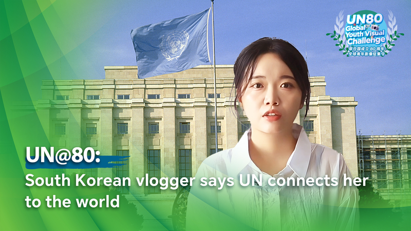🇰🇷 South Korean Vlogger Shares UN Journey: From Donations to Global Perspective 🌍 video poster