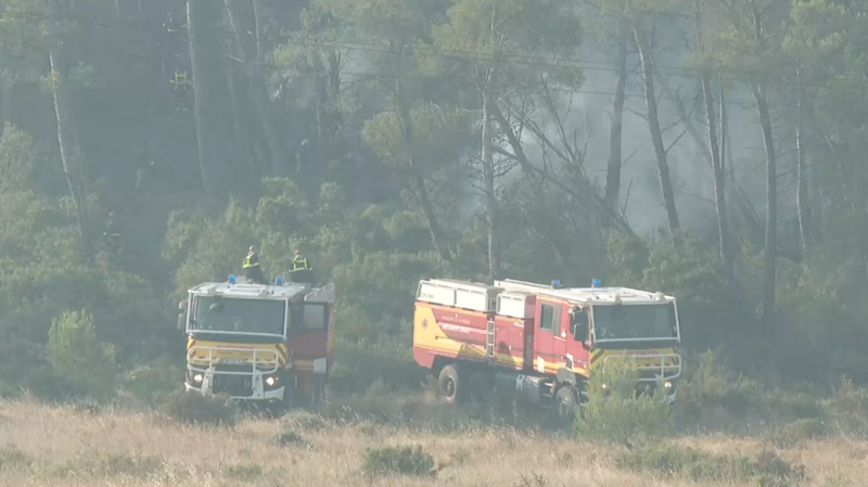 Wildfire Ravages Southern France, Thousands Evacuated 🌲🔥 Wildfire Ravages Southern France, Thousands Evacuated 🌲🔥 video poster