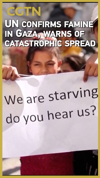 UN Declares Famine in Gaza: Catastrophe Looms as Hunger Spreads 🌍🚨 video poster