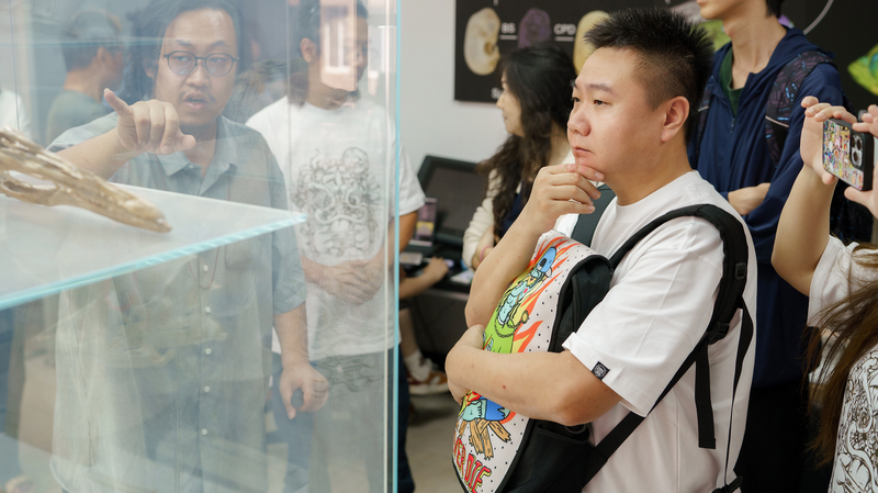 Hit Chinese Anime 'Ling Cage' Teams Up with Fossil Experts for Season 3 🦖✨