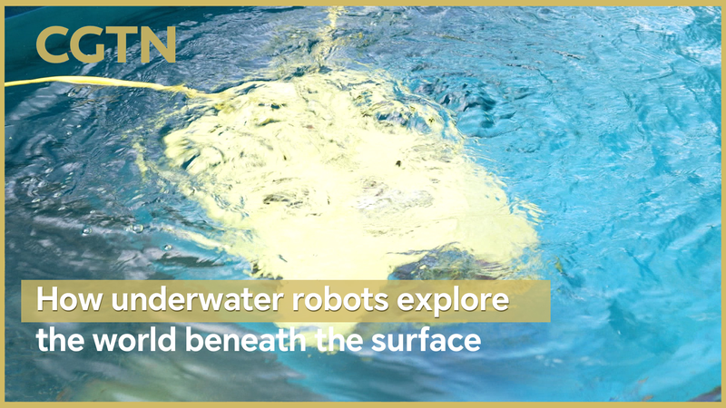 MK7M0YYM0CQFZ8MCDH1U - 🌍NewspaperAmigo – Your Global News Buddy 🗞️ 🤖🌊 Underwater Robots Dive Deep: Meet China’s AI-Powered Subaquatic Sprite! video poster