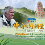 NAAPMSFW7XAW64DQ8WB3 - 🌍NewspaperAmigo – Your Global News Buddy 🗞️ China’s Green Revolution: From Mining Scars to Eco-Stars 🌱✨ video poster