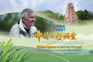 China’s Green Revolution: From Mining Scars to Eco-Stars 🌱✨ video poster