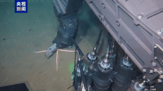 China’s Haiqin ROV Dives 4,140m in Historic Sea Trial 🌊🔍 China’s Haiqin ROV Dives 4,140m in Historic Sea Trial 🌊🔍