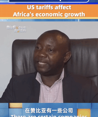 US Tariffs Could Stunt Africa’s Growth, Warns Expert 🌍📉 US Tariffs Could Stunt Africa's Growth, Warns Expert 🌍📉 video poster