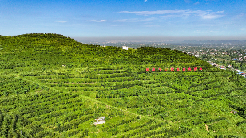 PU1YG6N8G1OH1GLAVF7C - 🌍NewspaperAmigo – Your Global News Buddy 🗞️ China’s Green Future 🌱 Premier Li Calls for Eco-Revolution in New Era