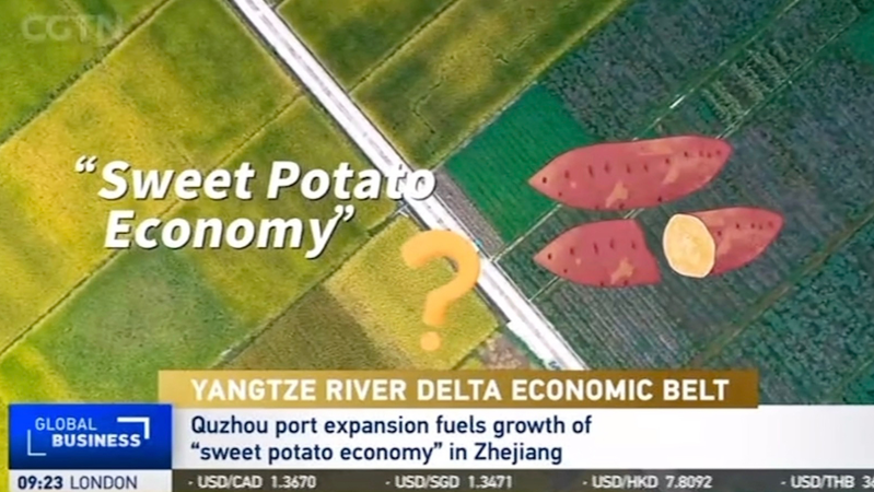 QAWF29S63E9F6J1BL5HS - 🌍NewspaperAmigo – Your Global News Buddy 🗞️ Quzhou’s ‘Sweet Potato Economy’ Fuels Sustainable Growth 🍠🌱 video poster