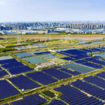 SCO 2025: A Green Future Takes Center Stage 🌱🌏