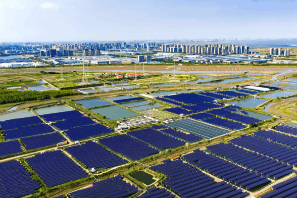 SCO 2025: A Green Future Takes Center Stage 🌱🌏 SCO 2025: A Green Future Takes Center Stage 🌱🌏