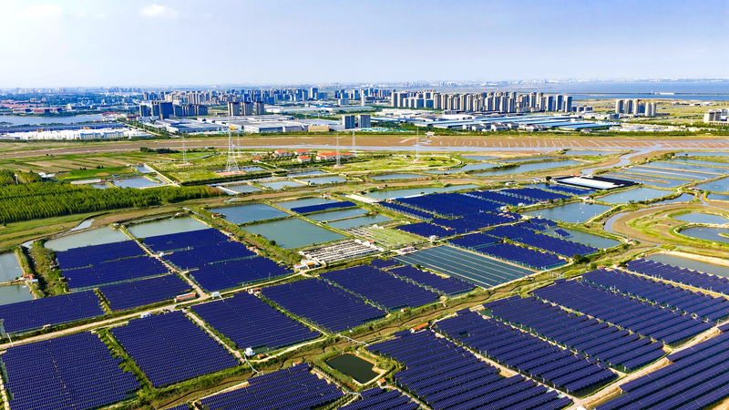 SCO 2025: A Green Future Takes Center Stage 🌱🌏