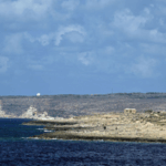 Tragedy at Europe's Gate: 20 Migrants Dead in Lampedusa Shipwreck 🌊⚓