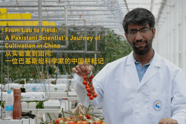 🌱 Pakistani Scientist Boosts China’s Crops & Ties with 40% Yield Surge! 🌱 Pakistani Scientist Boosts China’s Crops & Ties with 40% Yield Surge! video poster