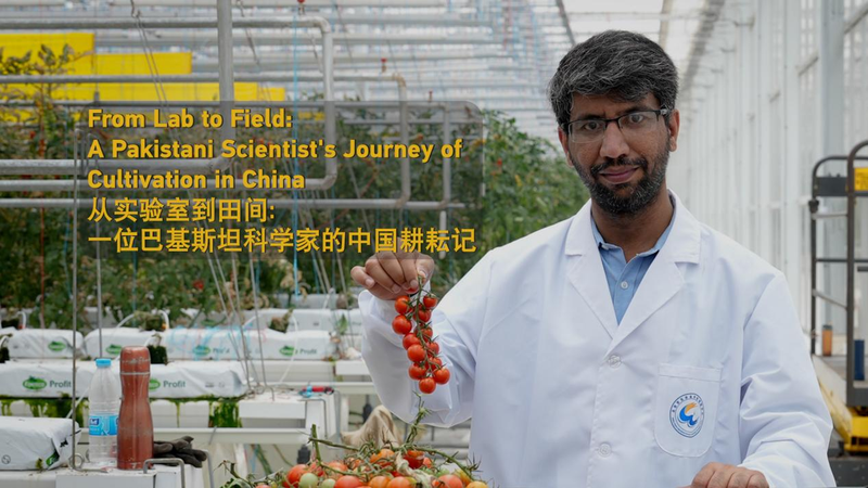 R6UU09WY9D76FVDK62VY - 🌍NewspaperAmigo – Your Global News Buddy 🗞️ 🌱 Pakistani Scientist Boosts China’s Crops & Ties with 40% Yield Surge! video poster