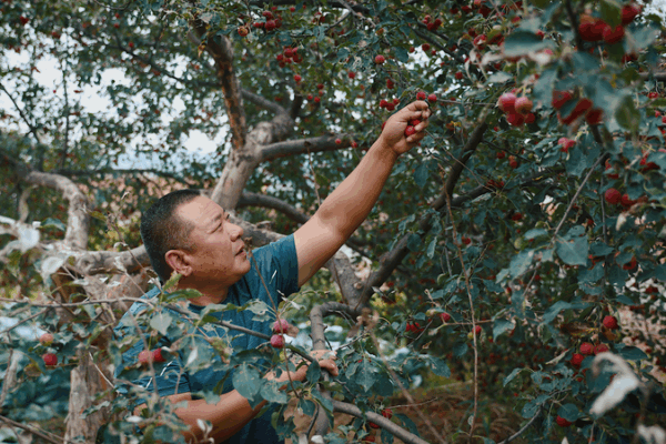 Where History Meets Nature: Laoniuwan Village’s Ancient Charm 🌊🏯