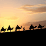 SCO Unites to Protect Silk Road Heritage 🌏✨