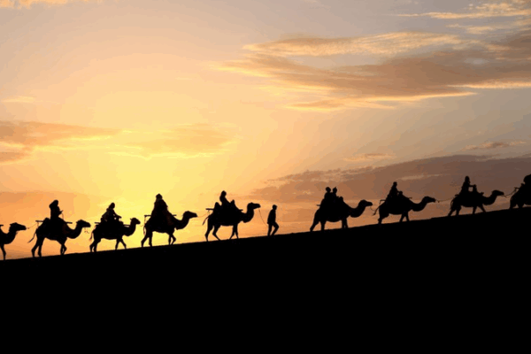 SCO Unites to Protect Silk Road Heritage 🌏✨ SCO Unites to Protect Silk Road Heritage 🌏✨