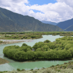 RONJKRURMUGDPE6S73OU - 🌍NewspaperAmigo – Your Global News Buddy 🗞️ 🌱 Global Youth Back China’s Green Vision: Poll Reveals Strong Support for ‘Two Mountains’ Concept
