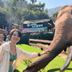 RUI70FIGFHDU2TJ4RELH - 🌍NewspaperAmigo – Your Global News Buddy 🗞️ A Journey Through China’s Wild Heart: Finding Unity in Nature 🌿🐘