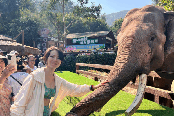 A Journey Through China’s Wild Heart: Finding Unity in Nature 🌿🐘 A Journey Through China’s Wild Heart: Finding Unity in Nature 🌿🐘