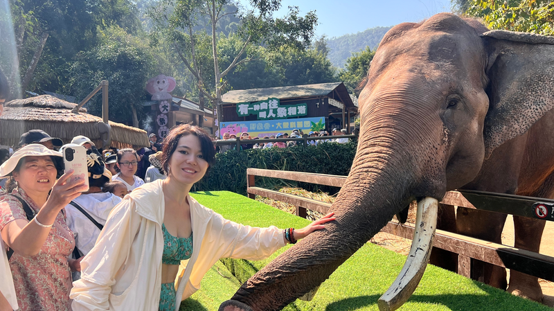 A Journey Through China’s Wild Heart: Finding Unity in Nature 🌿🐘