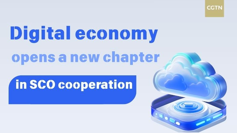 SCO Nations Unlock Digital Future with Triad Strategy 🌐💡