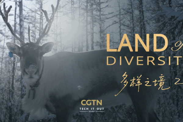 Reindeer & Resilience: The Evenki’s Frozen Legacy 🌨️🦌 Reindeer & Resilience: The Evenki’s Frozen Legacy 🌨️🦌 video poster