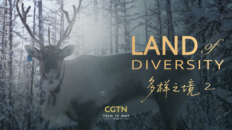 Reindeer & Resilience: The Evenki’s Frozen Legacy 🌨️🦌 video poster