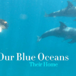 TROQIAKOM6FKVARP7SP8 - 🌍NewspaperAmigo – Your Global News Buddy 🗞️ 🌊 Kenyan-British Artist Megan White Champions Ocean Conservation Through Ceramics 🎨 video poster