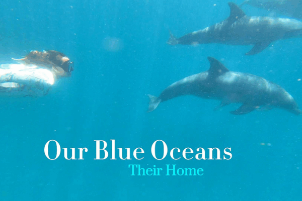 🌊 Kenyan-British Artist Megan White Champions Ocean Conservation Through Ceramics 🎨 🌊 Kenyan-British Artist Megan White Champions Ocean Conservation Through Ceramics 🎨 video poster