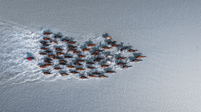 Youth Vision: UN@80 Sparks Global Creativity 🌍📸