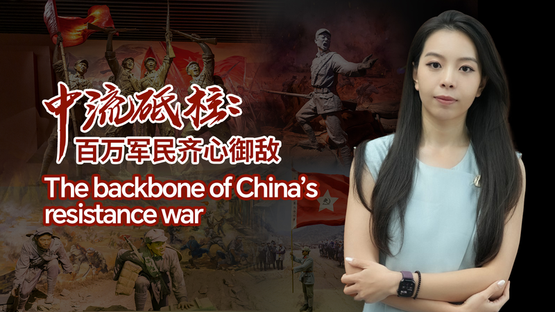 Untold WWII Heroes: China's Communist Forces Revealed 🌟🇨🇳 video poster