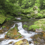 ULN16V2WDY0UNCGPQ9HO - 🌍NewspaperAmigo – Your Global News Buddy 🗞️ 🌿 Discover Qianjiangyuan: China’s Hidden Natural Paradise! video poster