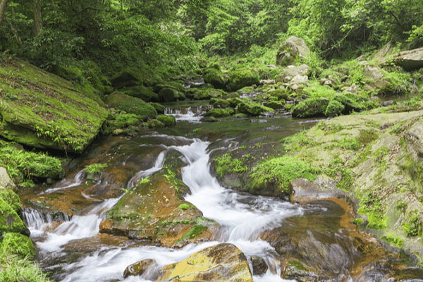 🌿 Discover Qianjiangyuan: China’s Hidden Natural Paradise! 🌿 Discover Qianjiangyuan: China’s Hidden Natural Paradise! video poster