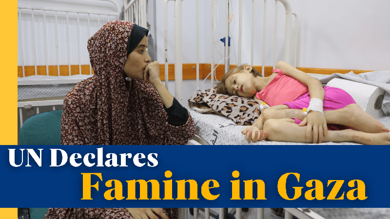 UN_Declares_Famine_in_Gaza___My_Daughter_Has_No_Food__No_Medicine_ video poster