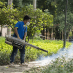 UT7M5HK0S3E2URTVSD5I - 🌍NewspaperAmigo – Your Global News Buddy 🗞️ South China Sees Drop in Chikungunya Cases 🦟📉