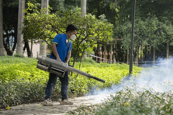 South China Sees Drop in Chikungunya Cases 🦟📉 South China Sees Drop in Chikungunya Cases 🦟📉