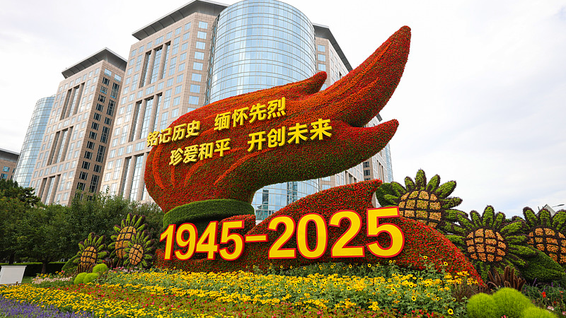 🇨🇳✊ China's WWII Legacy: How Resistance Shaped Global Peace 🌍✌️