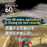 Xizang's Farming Revolution: 60 Years of Growth in 60 Seconds 🌱🚜 video poster