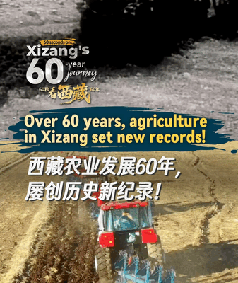 Xizang’s Farming Revolution: 60 Years of Growth in 60 Seconds 🌱🚜 Xizang's Farming Revolution: 60 Years of Growth in 60 Seconds 🌱🚜 video poster