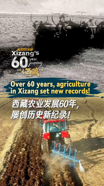 VU2KEADCPAGQZO09YJ5P - 🌍NewspaperAmigo – Your Global News Buddy 🗞️ Xizang's Farming Revolution: 60 Years of Growth in 60 Seconds 🌱🚜 video poster