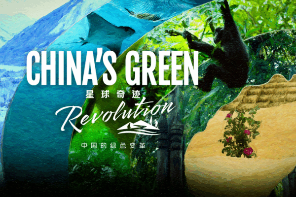 China’s Green Warriors: Turning Deserts into Forests 🌱🌍 China’s Green Warriors: Turning Deserts into Forests 🌱🌍 video poster